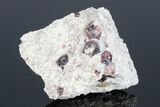 Raspberry Garnets (Rosolite) in Matrix - Mexico #175919-2